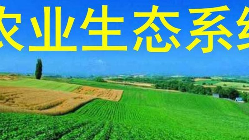 水果种植：有机肥与化肥的差别解析