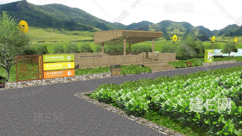 种植专业合作社分红多久一次