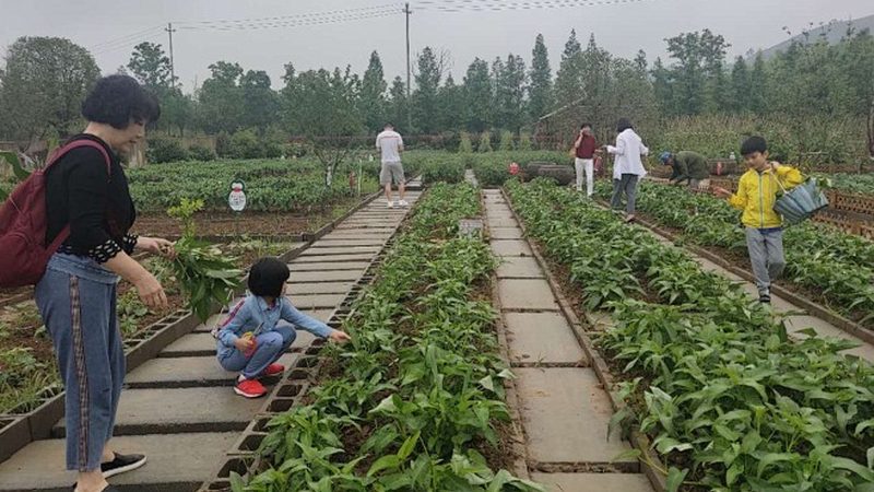 成都休闲农业项目招商代理：机遇与挑战并存