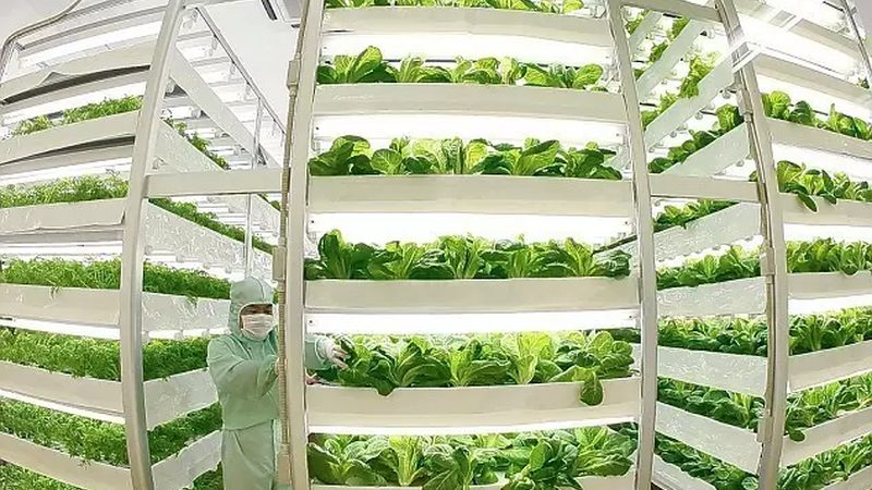 无人机喷药，种植大户病虫害防治新选择