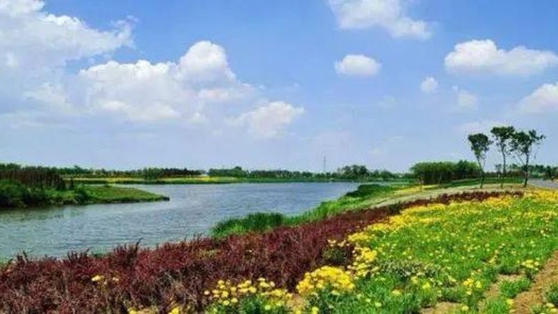 休闲农业观光园，如何打造生态旅游新亮点**