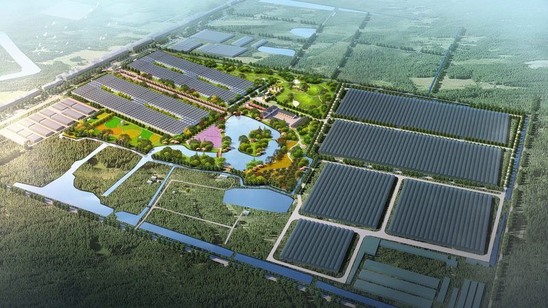 成都农业产业园运营管理手册：构建高效生态农业的指南