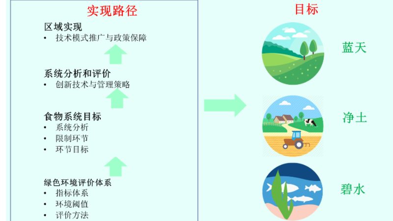 绿色食品代理加盟：揭秘费用构成与投资考量