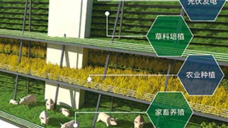 有机蔬菜代理品牌推荐