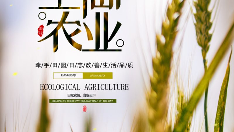 广州有机蔬菜批发市场拿货流程揭秘